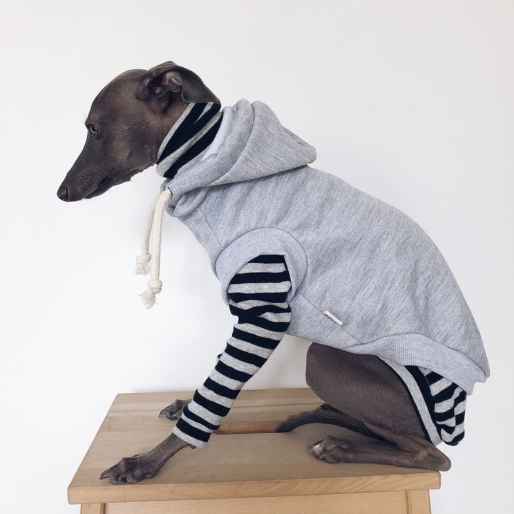 Dog Sweater